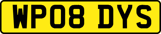 WP08DYS