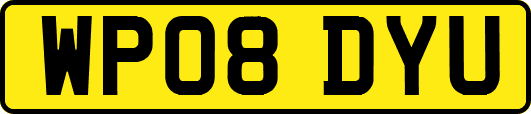 WP08DYU