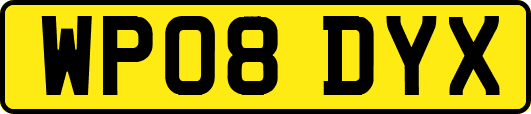 WP08DYX