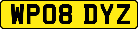 WP08DYZ