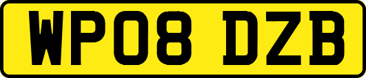 WP08DZB