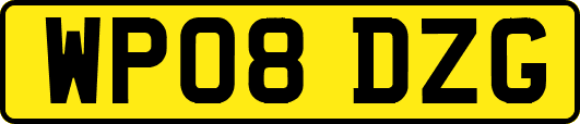 WP08DZG