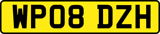 WP08DZH
