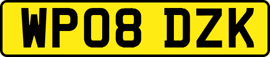 WP08DZK
