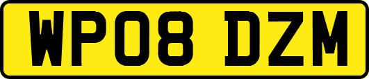 WP08DZM