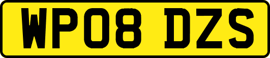WP08DZS