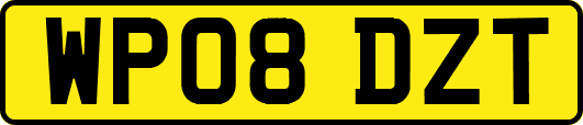 WP08DZT