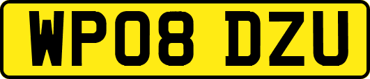 WP08DZU