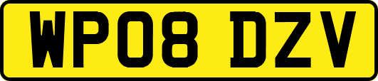 WP08DZV