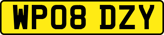 WP08DZY