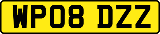WP08DZZ