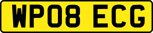 WP08ECG