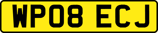 WP08ECJ