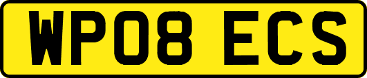 WP08ECS