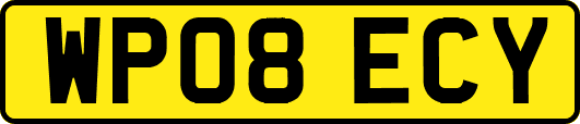 WP08ECY