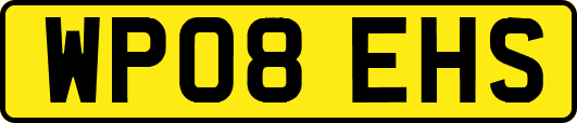 WP08EHS