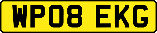 WP08EKG