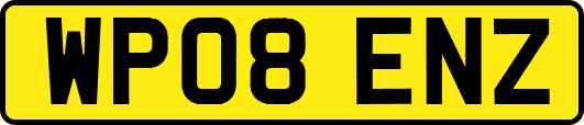 WP08ENZ