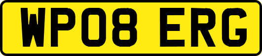 WP08ERG