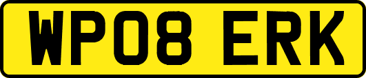 WP08ERK