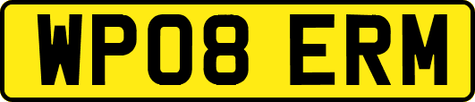 WP08ERM