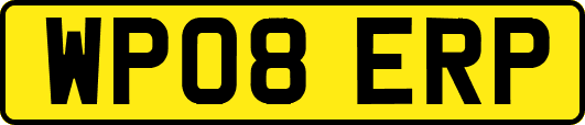 WP08ERP