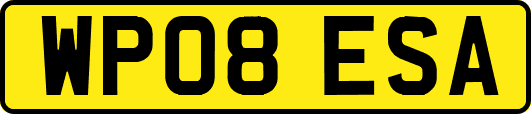 WP08ESA