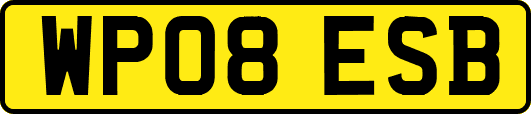 WP08ESB