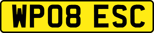 WP08ESC