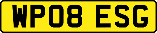 WP08ESG