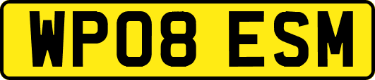 WP08ESM