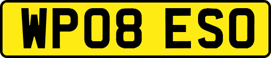 WP08ESO
