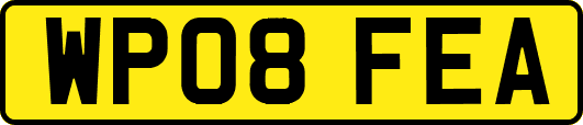 WP08FEA