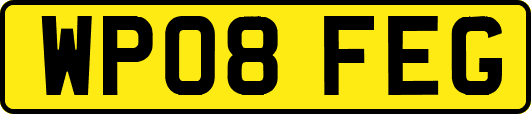 WP08FEG