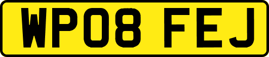 WP08FEJ