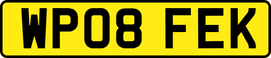 WP08FEK