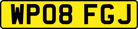 WP08FGJ