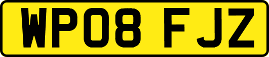 WP08FJZ