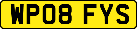 WP08FYS