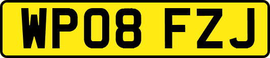 WP08FZJ