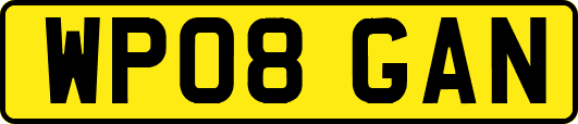 WP08GAN