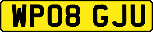 WP08GJU