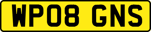 WP08GNS