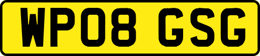 WP08GSG