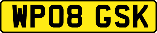 WP08GSK