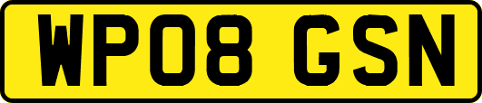 WP08GSN