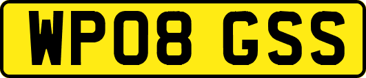 WP08GSS