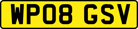 WP08GSV