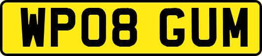WP08GUM