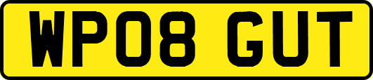 WP08GUT
